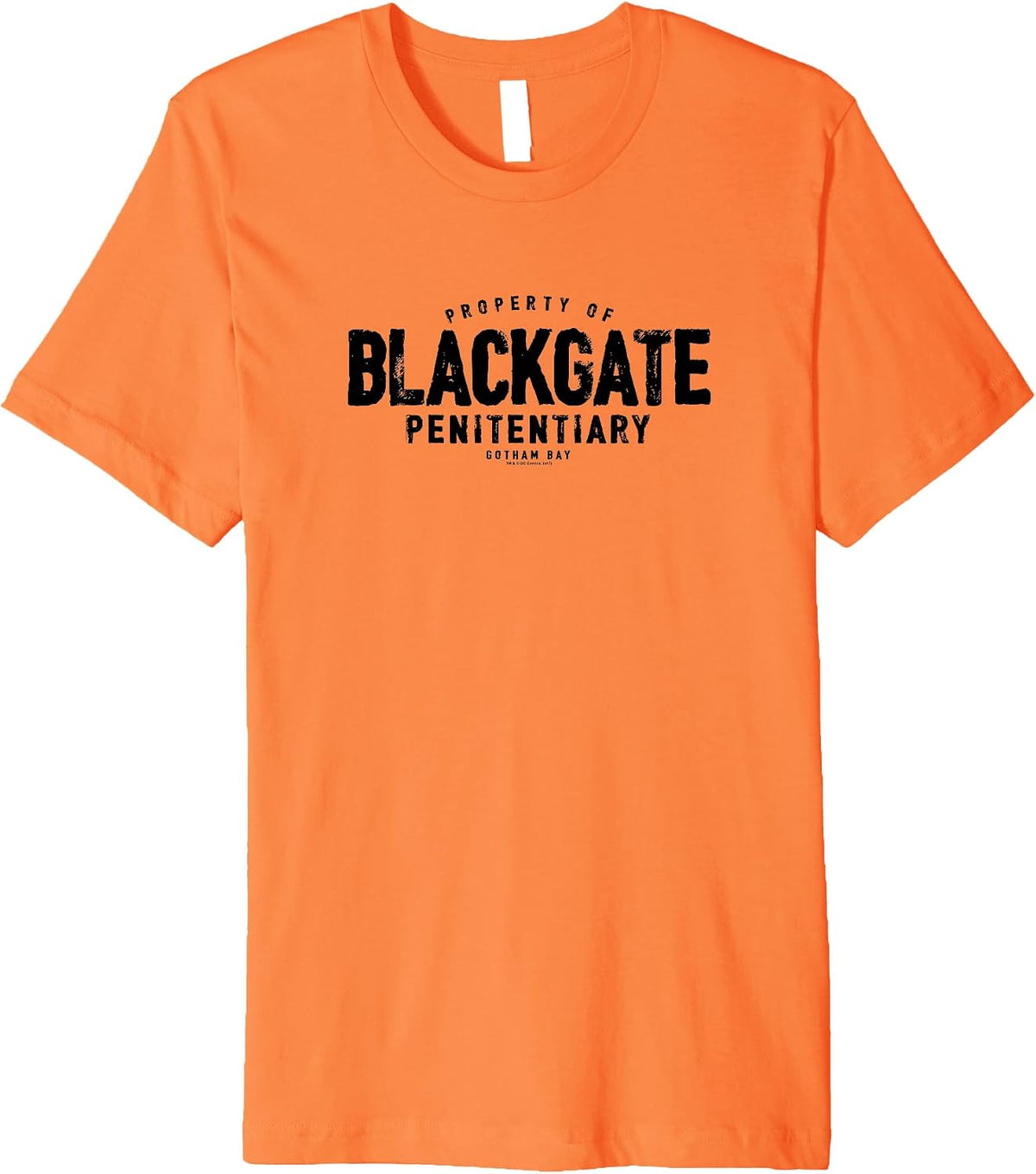 Batman Blackgate Penitentiary Premium T Shirt T Shirt Streetwear Style US Top Pick