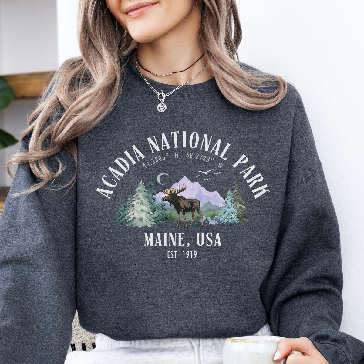 Acadia National Park Retro Sweatshirt Unisex Vintage Mountain Hiking Shirt Maine Travel Gift for Granola Girl Camper Wildlife Sweatshirt Sweatshirt – Warm & Stylish · Top Pick For Any Outfit