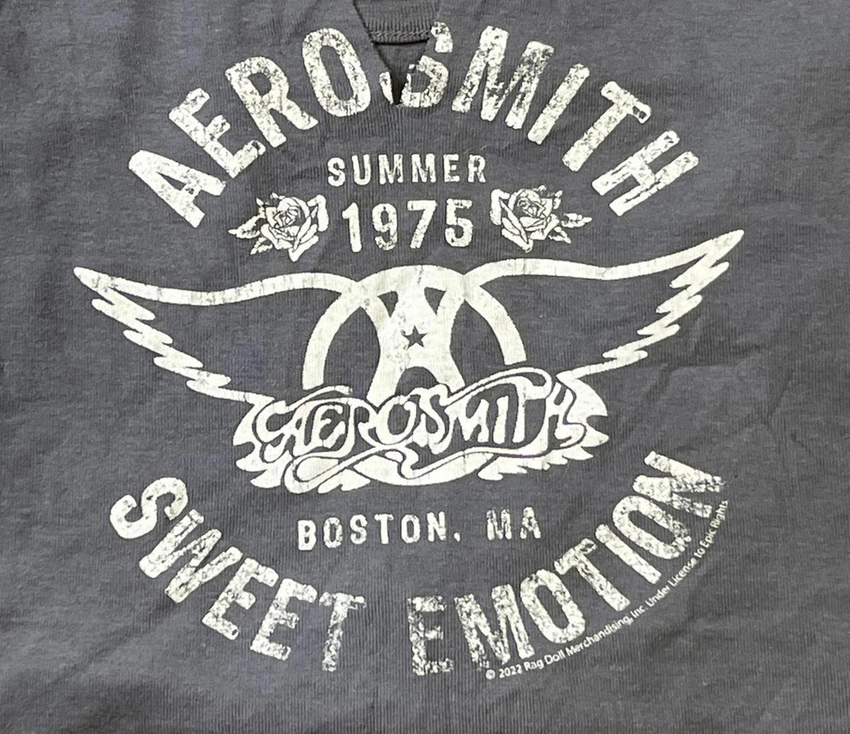 Aerosmith Cropped Tank Preowned Medium Band T shirt Tank Top – Premium Graphic · Great Gift For Fans