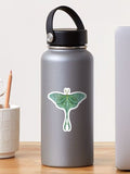 Luna Moth Sticker
