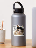 Everything's good cat You got this Sticker